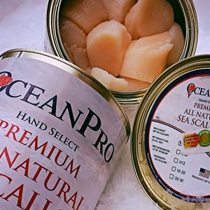 Coquilles premium vers - per stuk